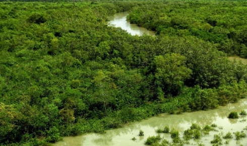 Discover the Magic of Sundarban Travels: Your Gateway to Nature’s Wonder